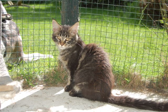 youp gaga en nina week 15 057.jpg